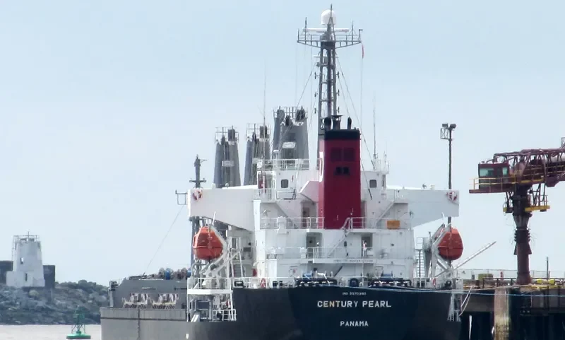 WHITE IVY Bulk Carrier IMO 9370393 photo 9