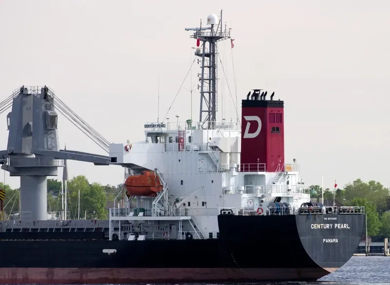 WHITE IVY Bulk Carrier IMO 9370393 photo 10
