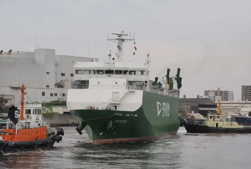 DAIHATSU MARU General Cargo IMO 9370410 photo 5