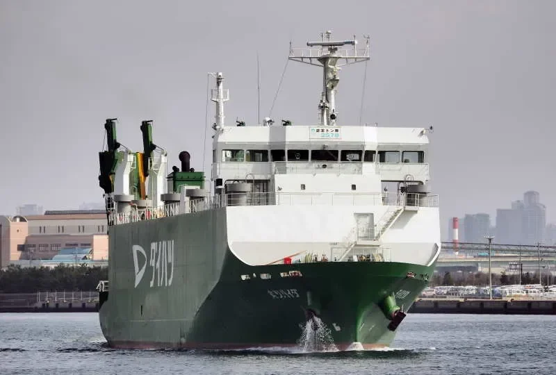 DAIHATSU MARU General Cargo IMO 9370410 photo 6