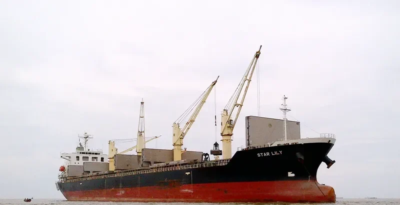 ASSAY Bulk Carrier IMO 9370422 photo 2