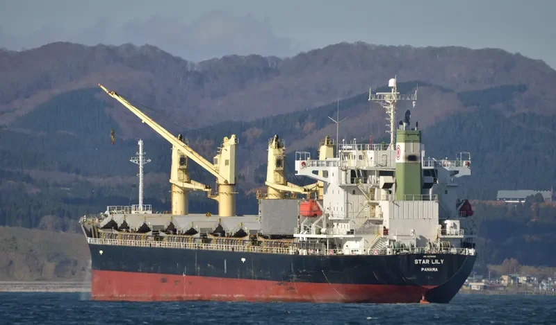 ASSAY Bulk Carrier IMO 9370422 photo 4