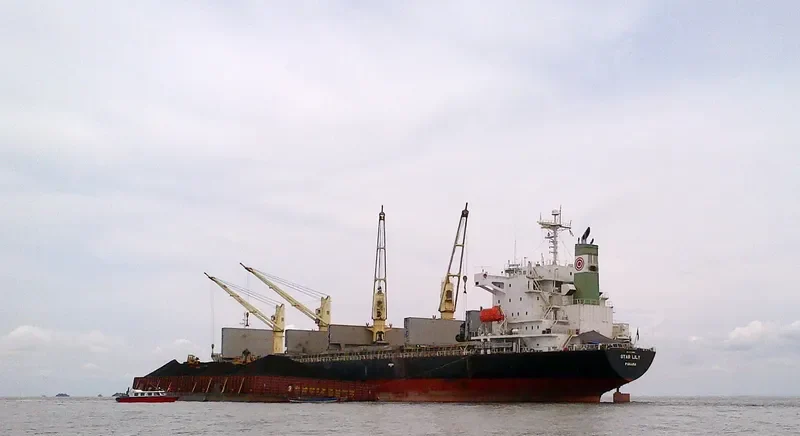 ASSAY Bulk Carrier IMO 9370422 photo 6
