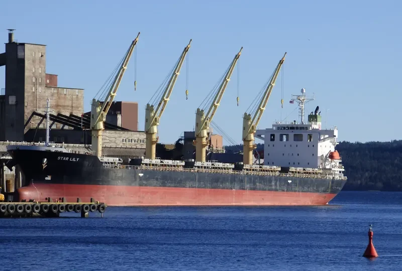 ASSAY Bulk Carrier IMO 9370422 photo 8