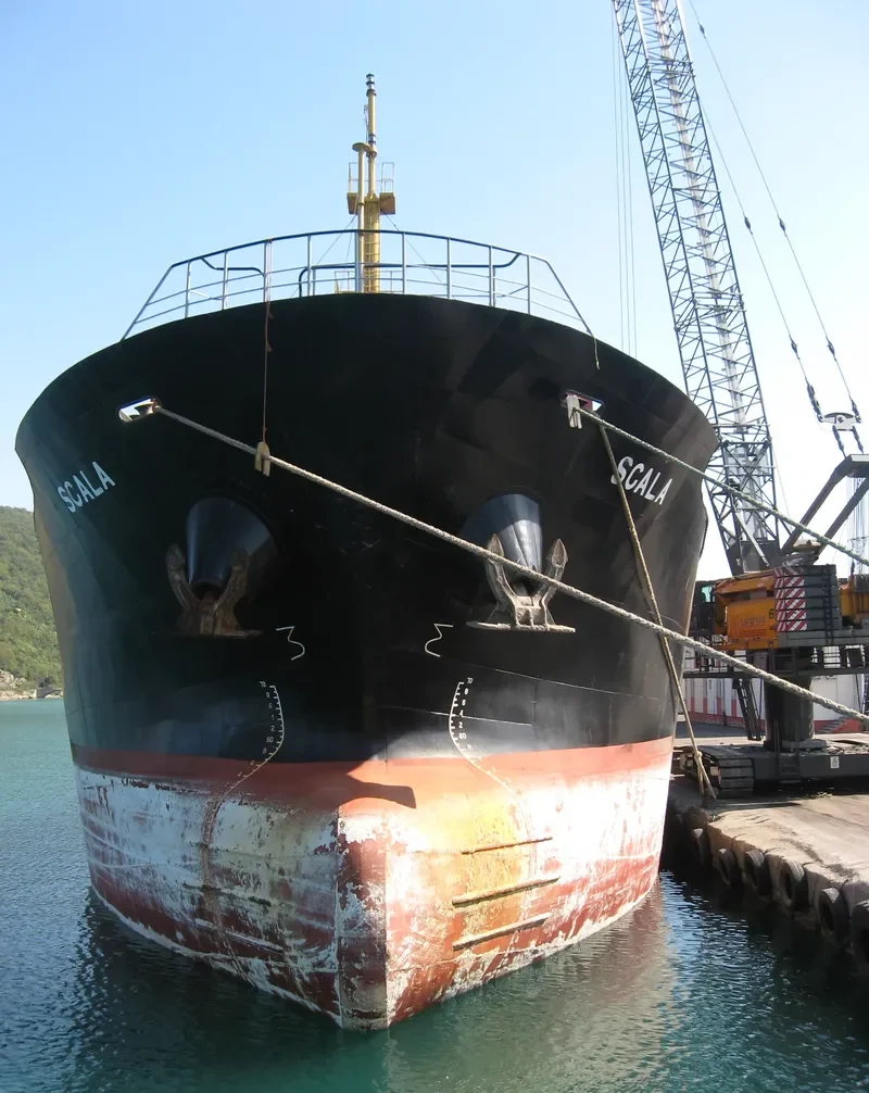 SCALA General Cargo IMO 9370628 photo 10