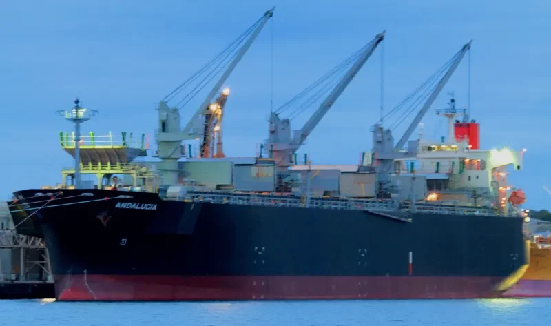 ANDALUCIA Bulk Carrier IMO 9370745 photo 8