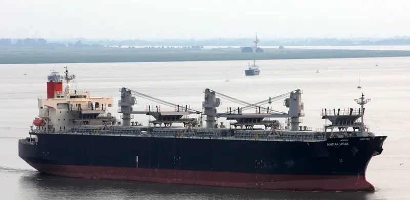 ANDALUCIA Bulk Carrier IMO 9370745 photo 9