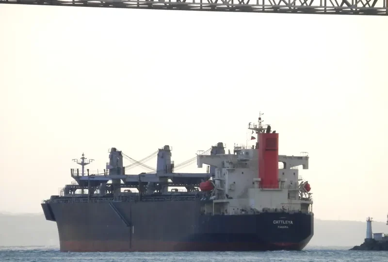 CATTLEYA Bulk Carrier IMO 9370757 photo 2