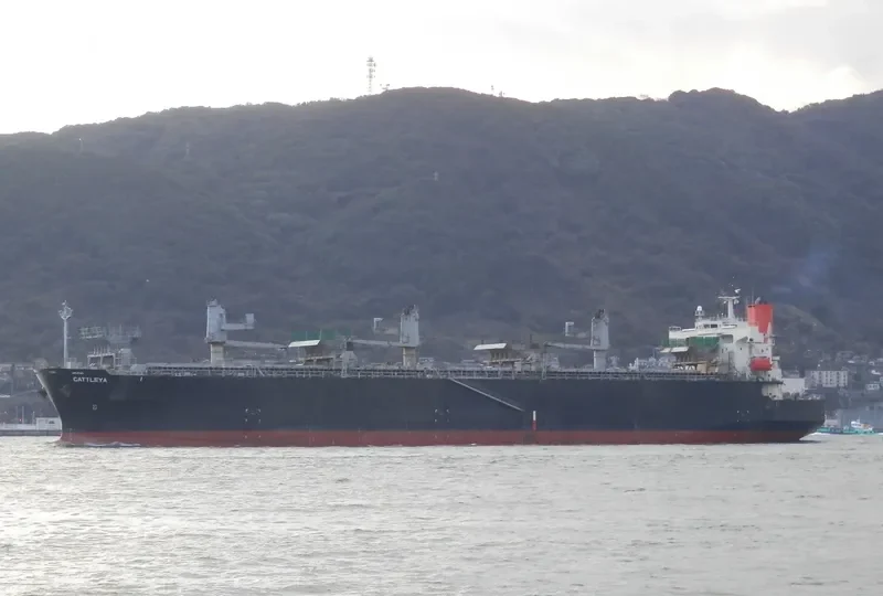 CATTLEYA Bulk Carrier IMO 9370757 photo 3
