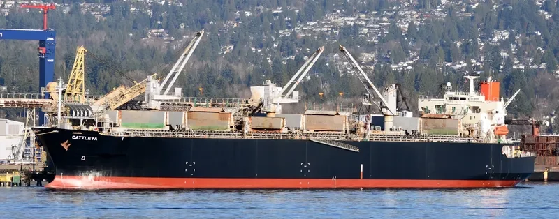 CATTLEYA Bulk Carrier IMO 9370757 photo 5