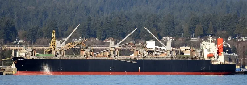 CATTLEYA Bulk Carrier IMO 9370757 photo 6