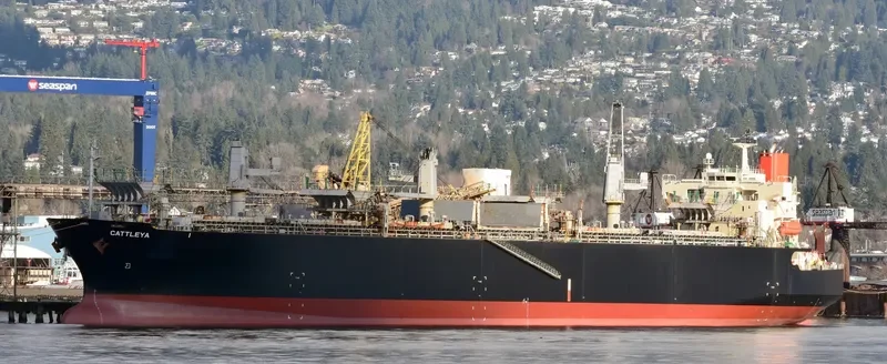 CATTLEYA Bulk Carrier IMO 9370757 photo 8