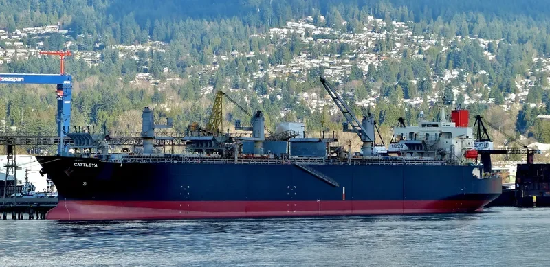 CATTLEYA Bulk Carrier IMO 9370757 photo 10