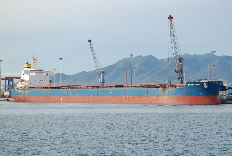 STAR BIANCA Bulk Carrier IMO 9370769 photo 2