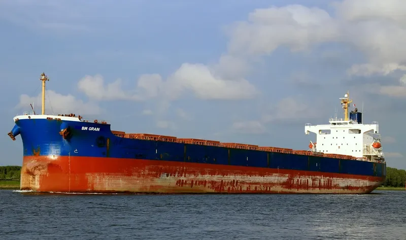 STAR BIANCA Bulk Carrier IMO 9370769 photo 7