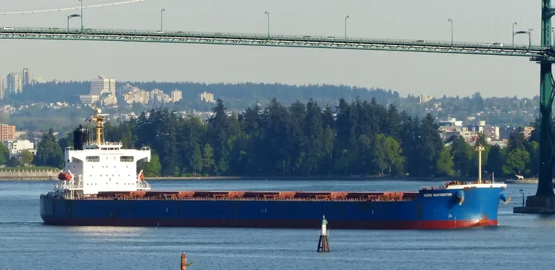 STAR BIANCA Bulk Carrier IMO 9370769 photo 8