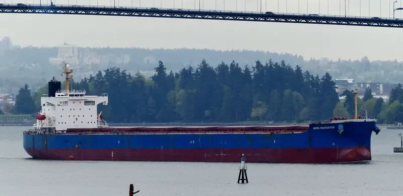 STAR BIANCA Bulk Carrier IMO 9370769 photo 10