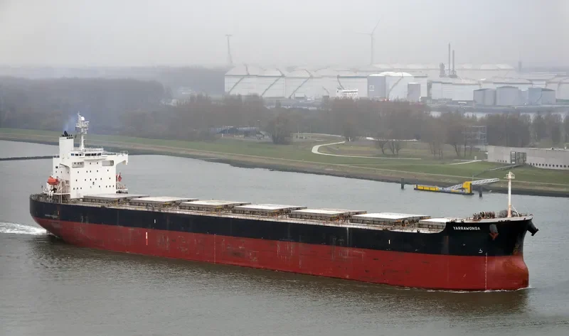 YARRAWONGA Bulk Carrier IMO 9370771 photo 2