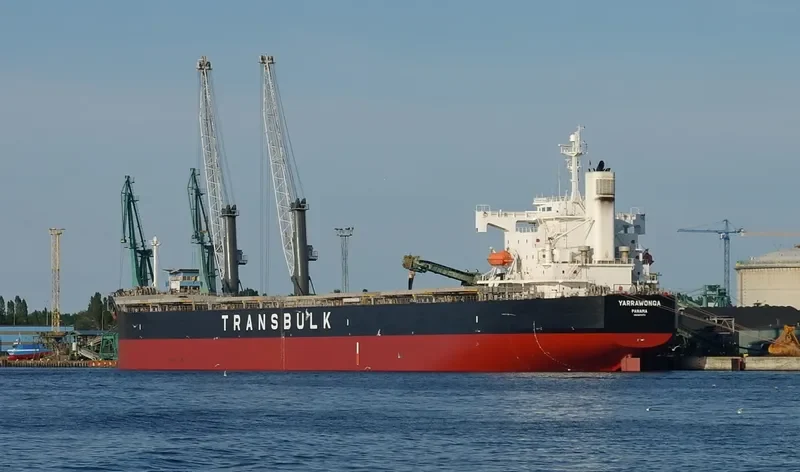 YARRAWONGA Bulk Carrier IMO 9370771 photo 3