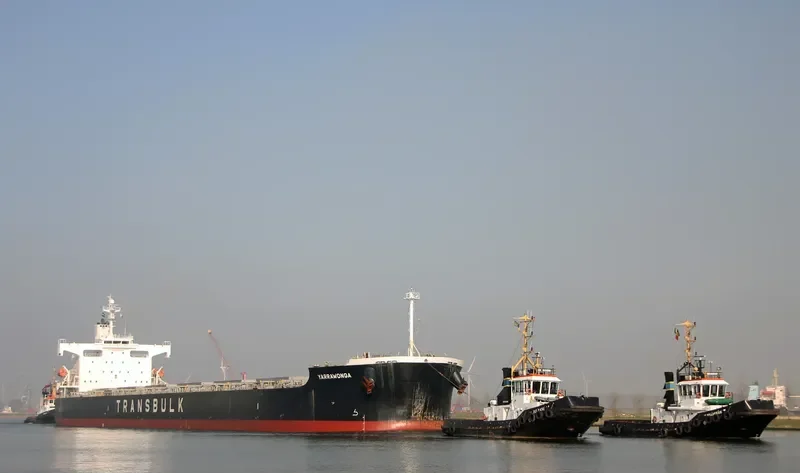 YARRAWONGA Bulk Carrier IMO 9370771 photo 4