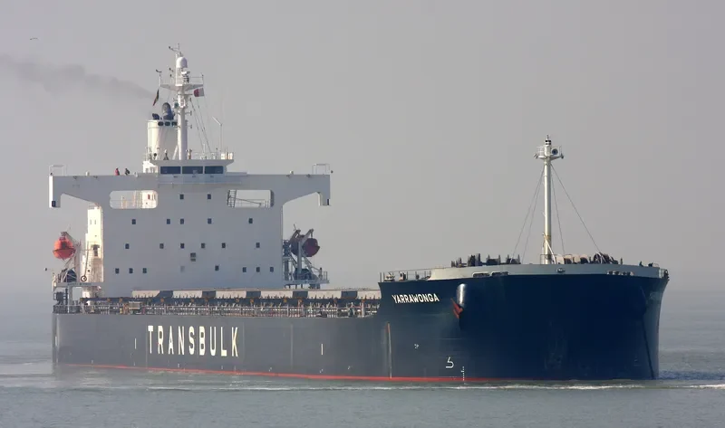 YARRAWONGA Bulk Carrier IMO 9370771 photo 5