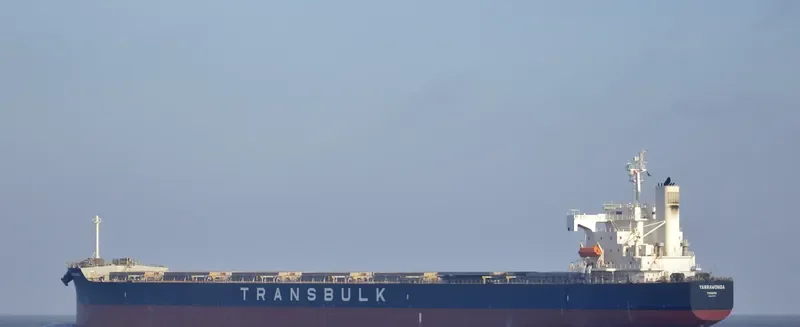 YARRAWONGA Bulk Carrier IMO 9370771 photo 6