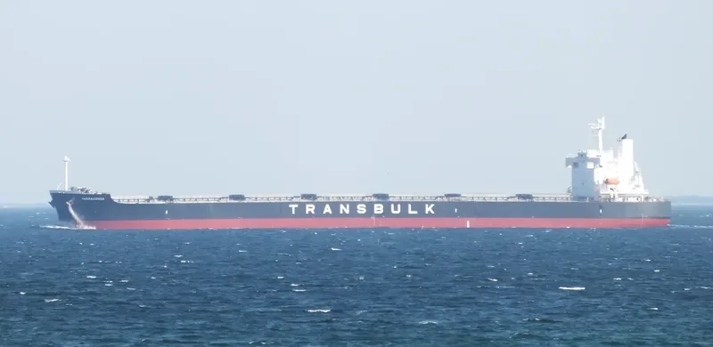 YARRAWONGA Bulk Carrier IMO 9370771 photo 8