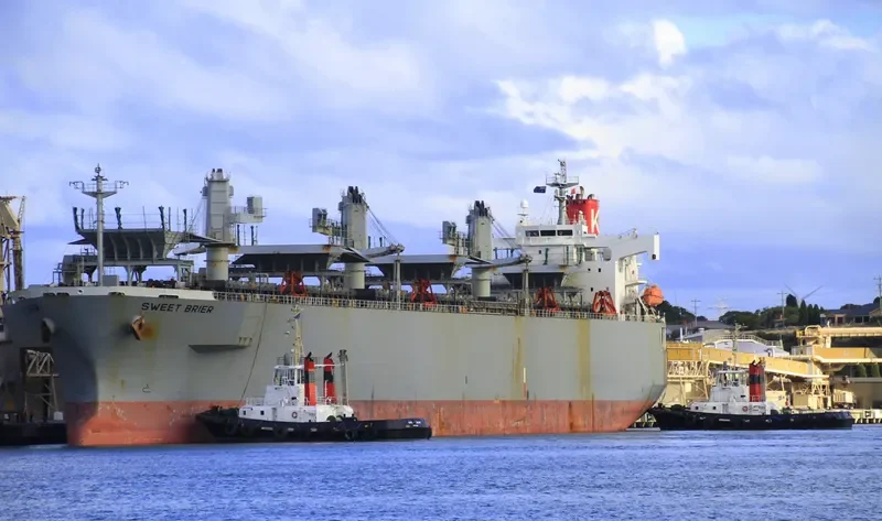 AC HONGKONG Bulk Carrier IMO 9370795 photo 2