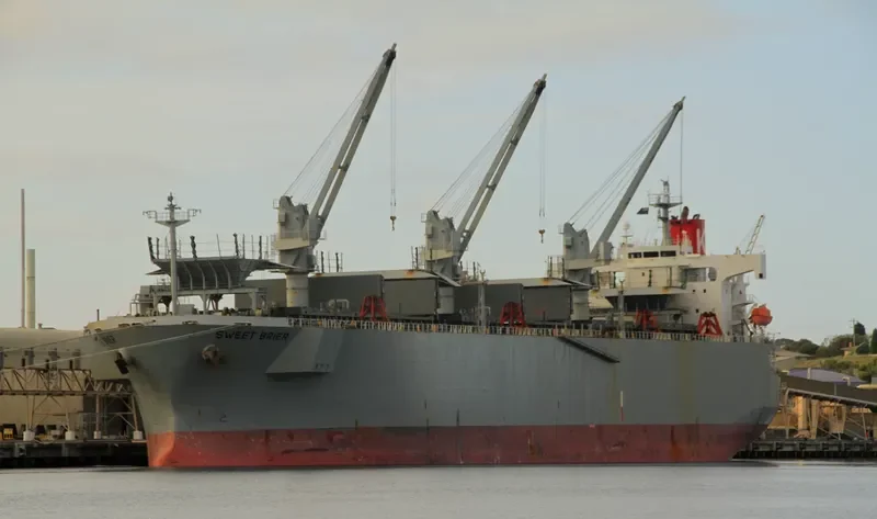 AC HONGKONG Bulk Carrier IMO 9370795 photo 3