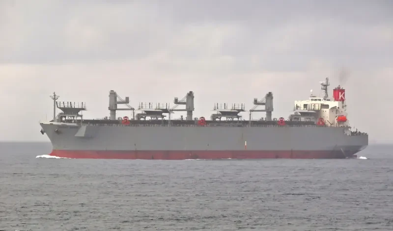 AC HONGKONG Bulk Carrier IMO 9370795 photo 6