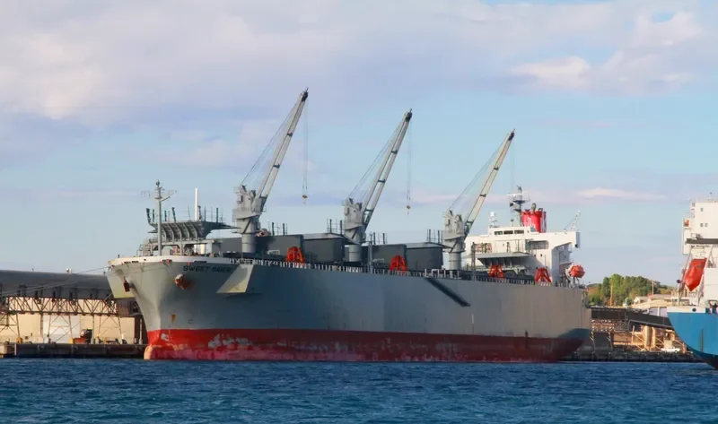 AC HONGKONG Bulk Carrier IMO 9370795 photo 8