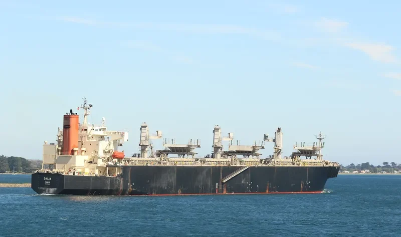 DALIA Bulk Carrier IMO 9370800