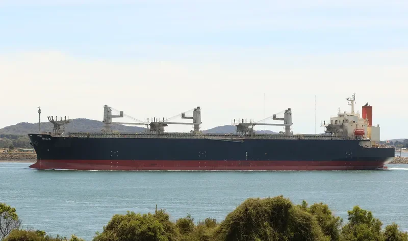 DALIA Bulk Carrier IMO 9370800 photo 2