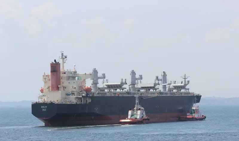 DALIA Bulk Carrier IMO 9370800 photo 3