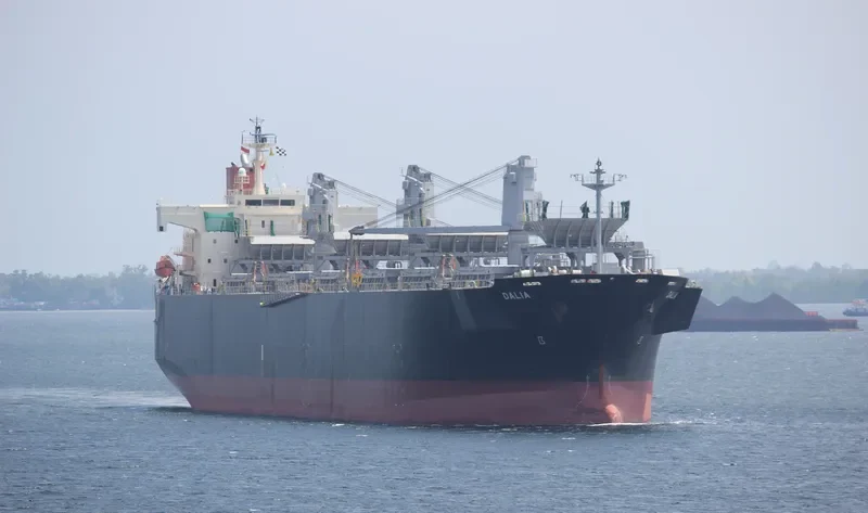 DALIA Bulk Carrier IMO 9370800 photo 4