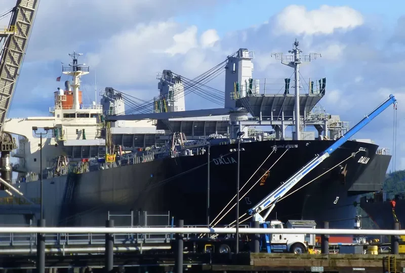 DALIA Bulk Carrier IMO 9370800 photo 5