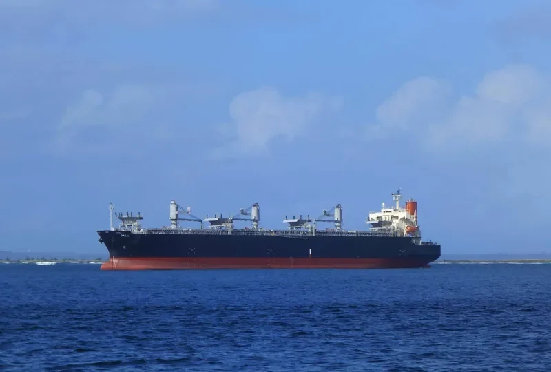 DALIA Bulk Carrier IMO 9370800 photo 6