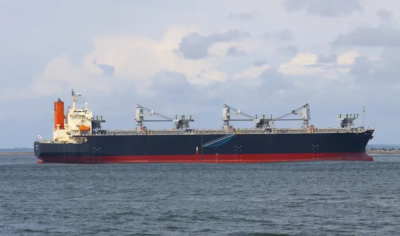 DALIA Bulk Carrier IMO 9370800 photo 7