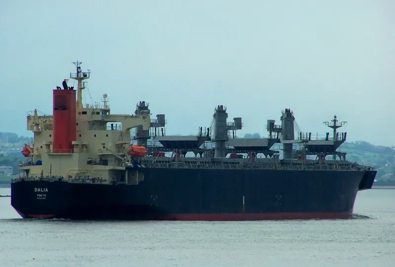 DALIA Bulk Carrier IMO 9370800 photo 8