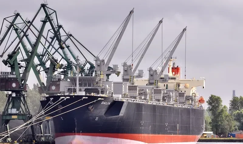 DALIA Bulk Carrier IMO 9370800 photo 9