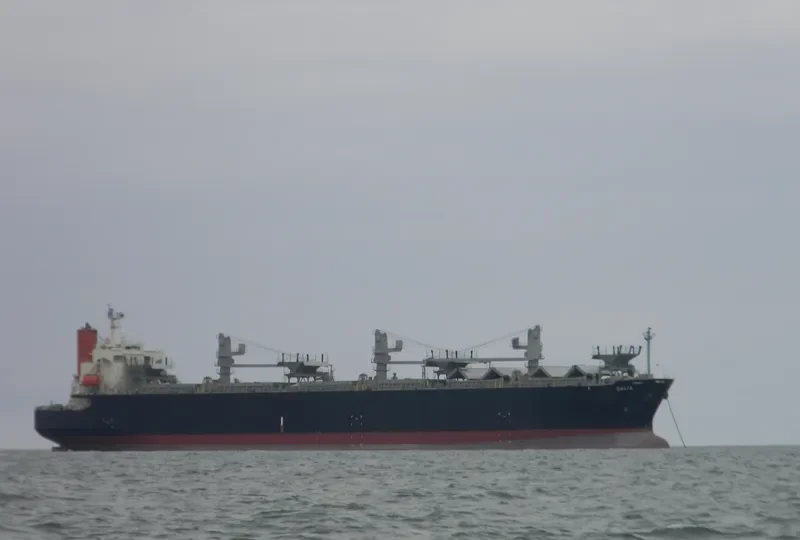 DALIA Bulk Carrier IMO 9370800 photo 10