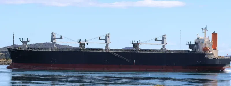 ANEMONA Bulk Carrier IMO 9370812 photo 2