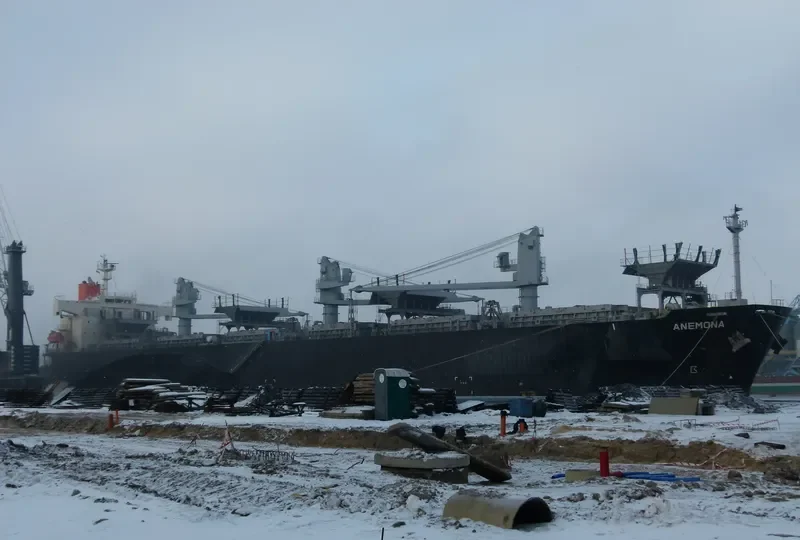 ANEMONA Bulk Carrier IMO 9370812 photo 3