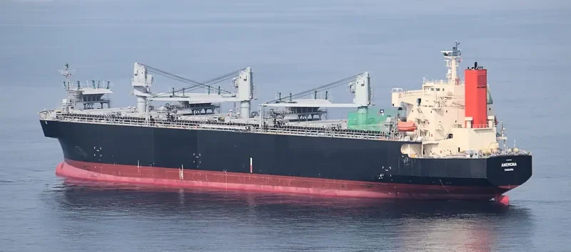 ANEMONA Bulk Carrier IMO 9370812 photo 4