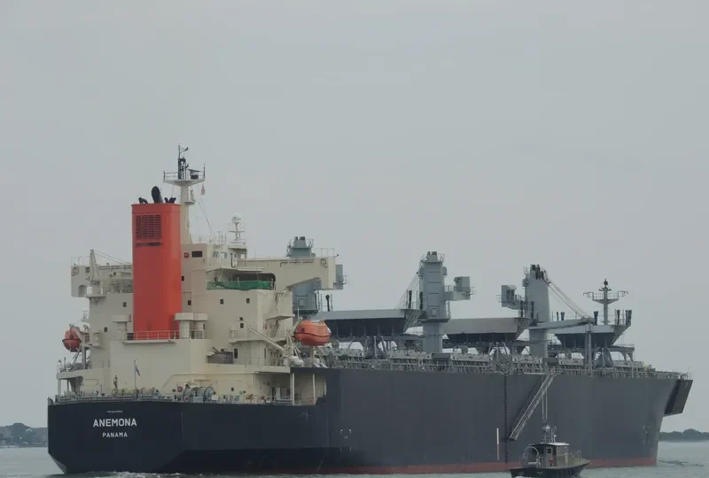 ANEMONA Bulk Carrier IMO 9370812 photo 5