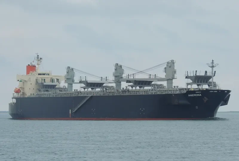ANEMONA Bulk Carrier IMO 9370812 photo 7