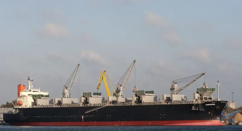 ANEMONA Bulk Carrier IMO 9370812 photo 9