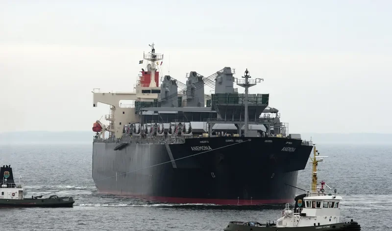 ANEMONA Bulk Carrier IMO 9370812 photo 10