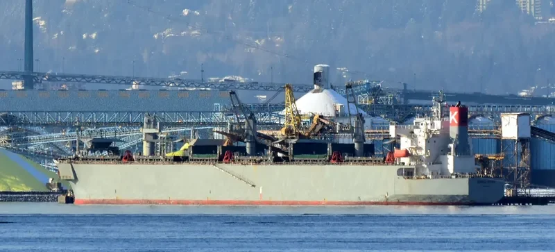 SENDAI SPIRIT Bulk Carrier IMO 9370824