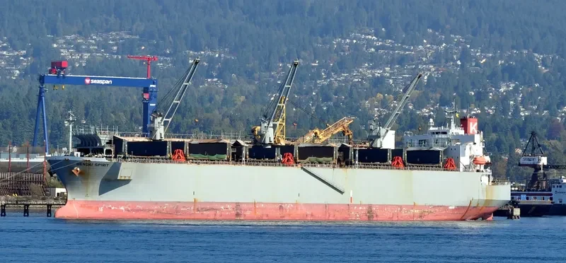 SENDAI SPIRIT Bulk Carrier IMO 9370824 photo 4